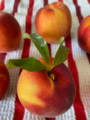 A picture of fresh peaches