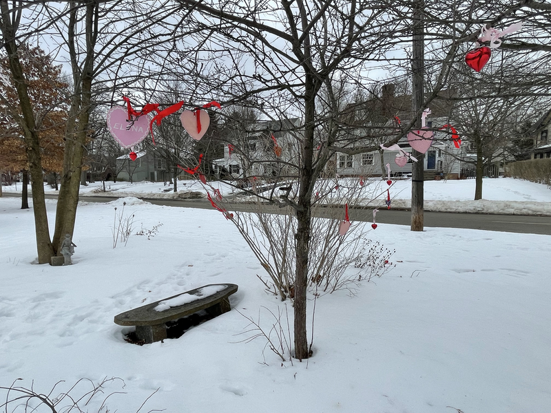 Jan and Elena's garden in the snow with hearts on the trees.